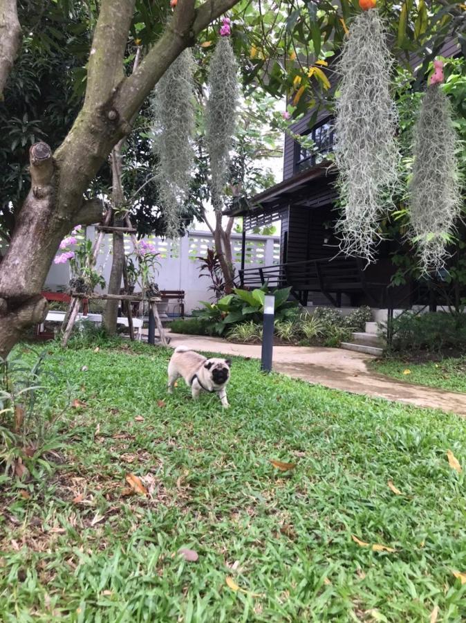 Baansuanklaiklungbangkrachao บ้านสวนใกล้กรุงบางกะเจ้า Phra Pradaeng Экстерьер фото